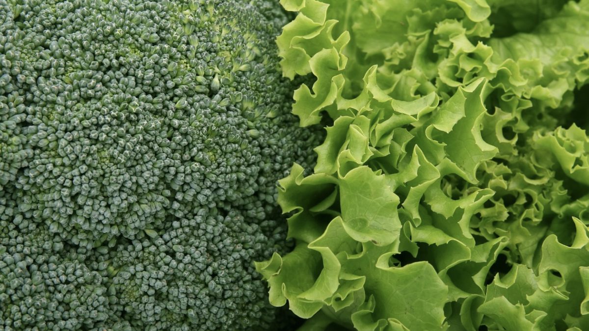 chlorophyll CoQ10