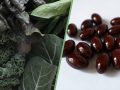 beans and greens