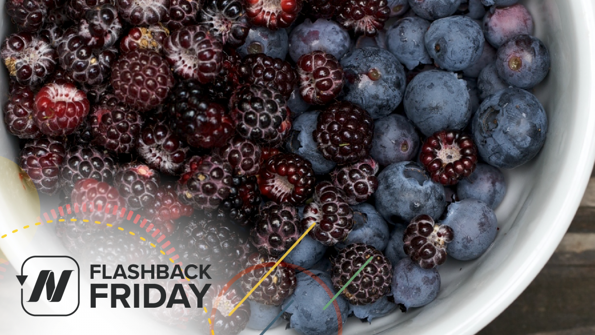 bowl of blueberries and blackberries