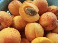 Does Laetrile (Amygdalin or Vitamin B-17) Work as an Alternative Cancer Cure?