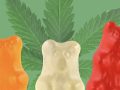 Are Cannabis Edibles Safe?