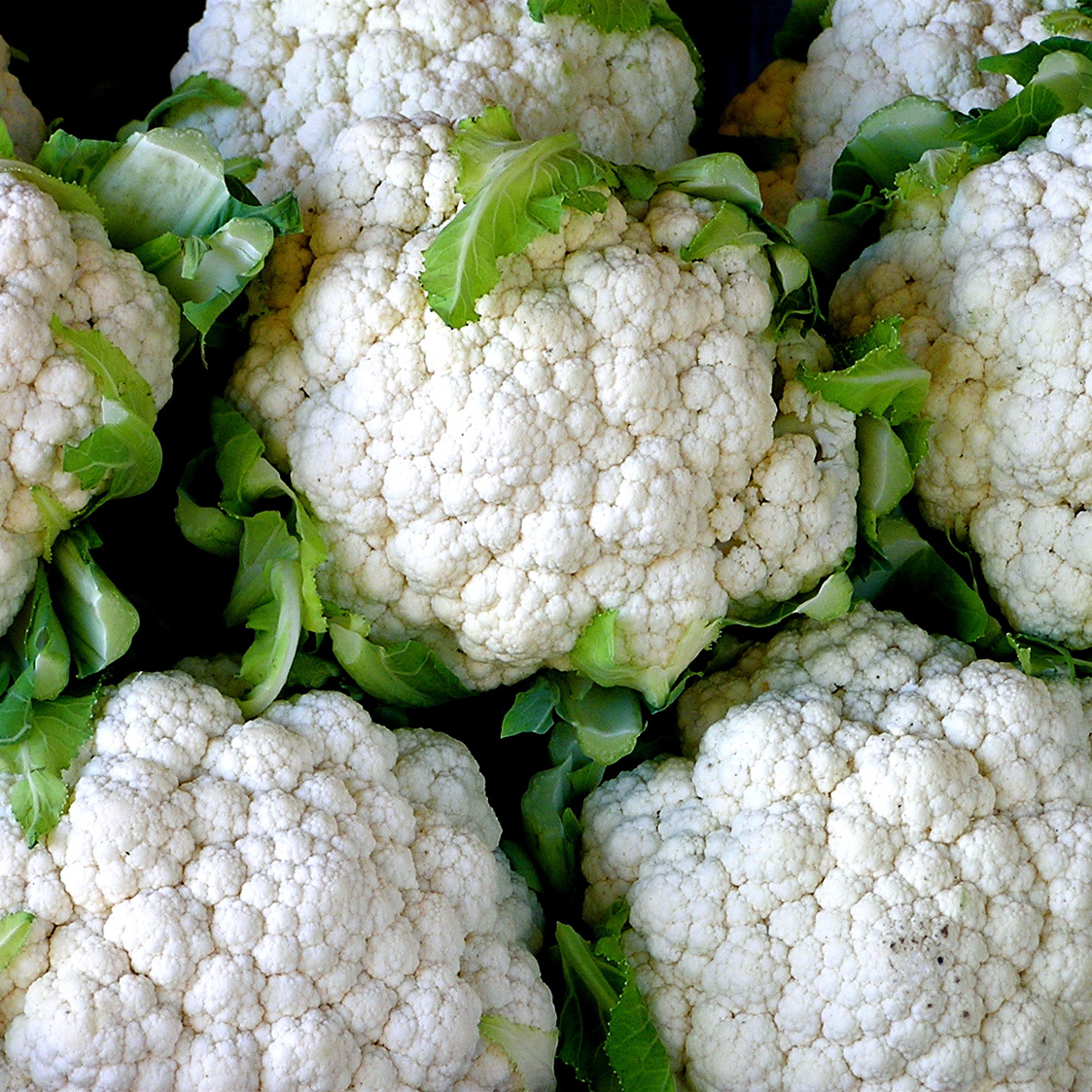 Coliflor