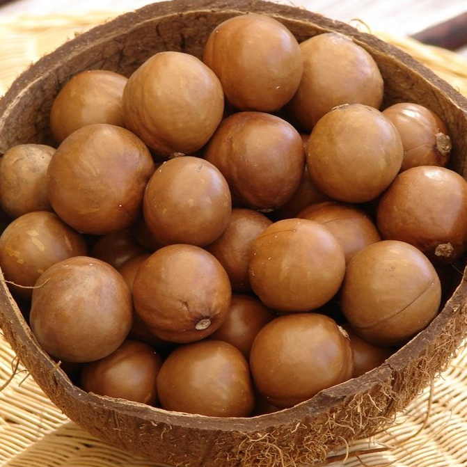 Nueces De Macadamia