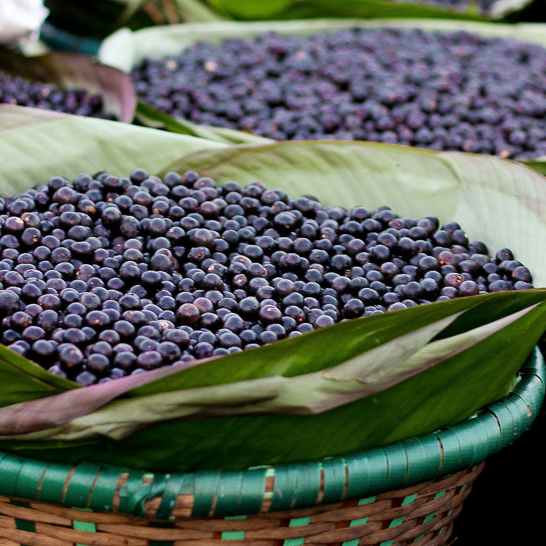 Bayas De Açai
