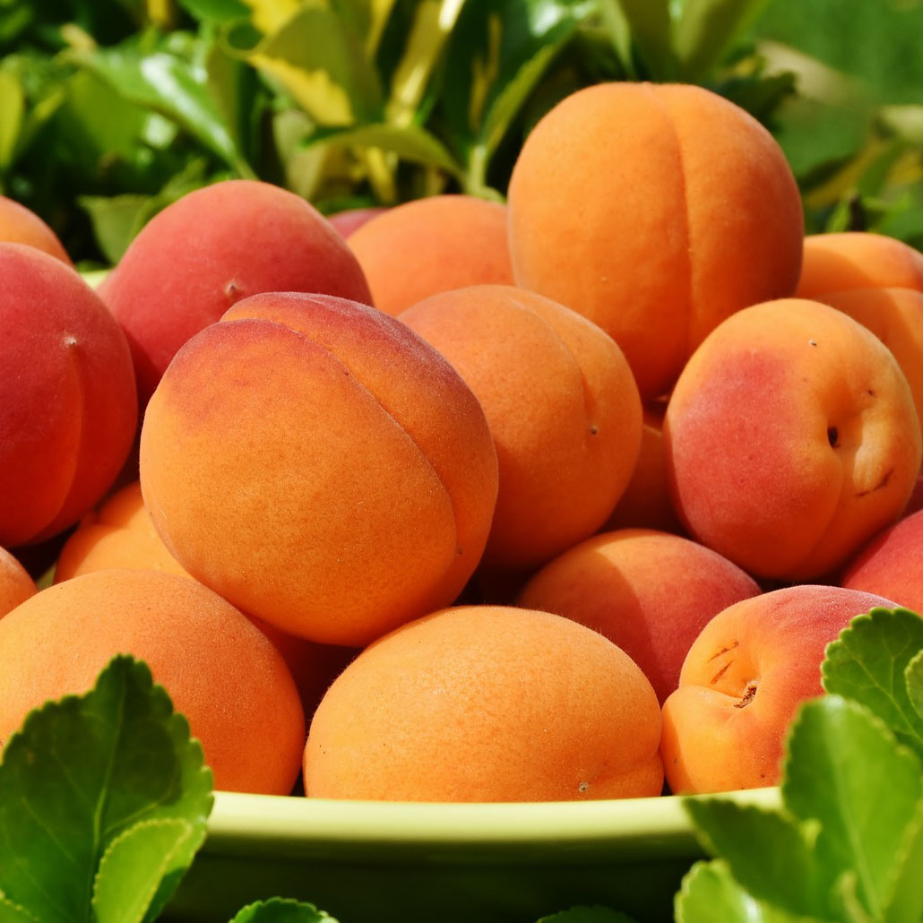 Albaricoques