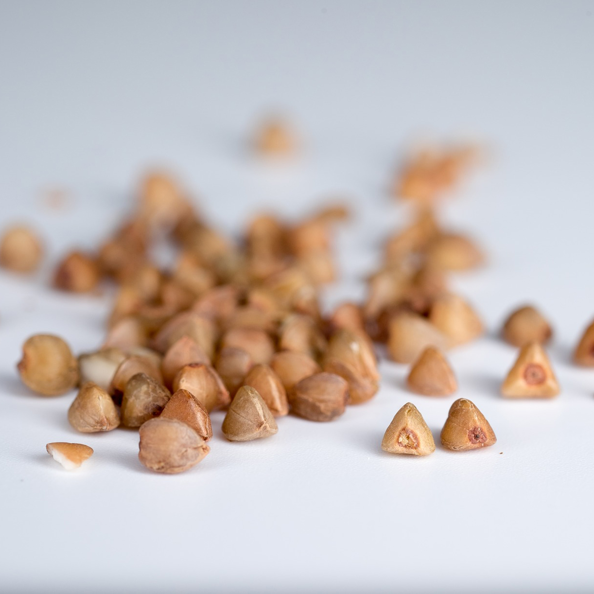 Buckwheat