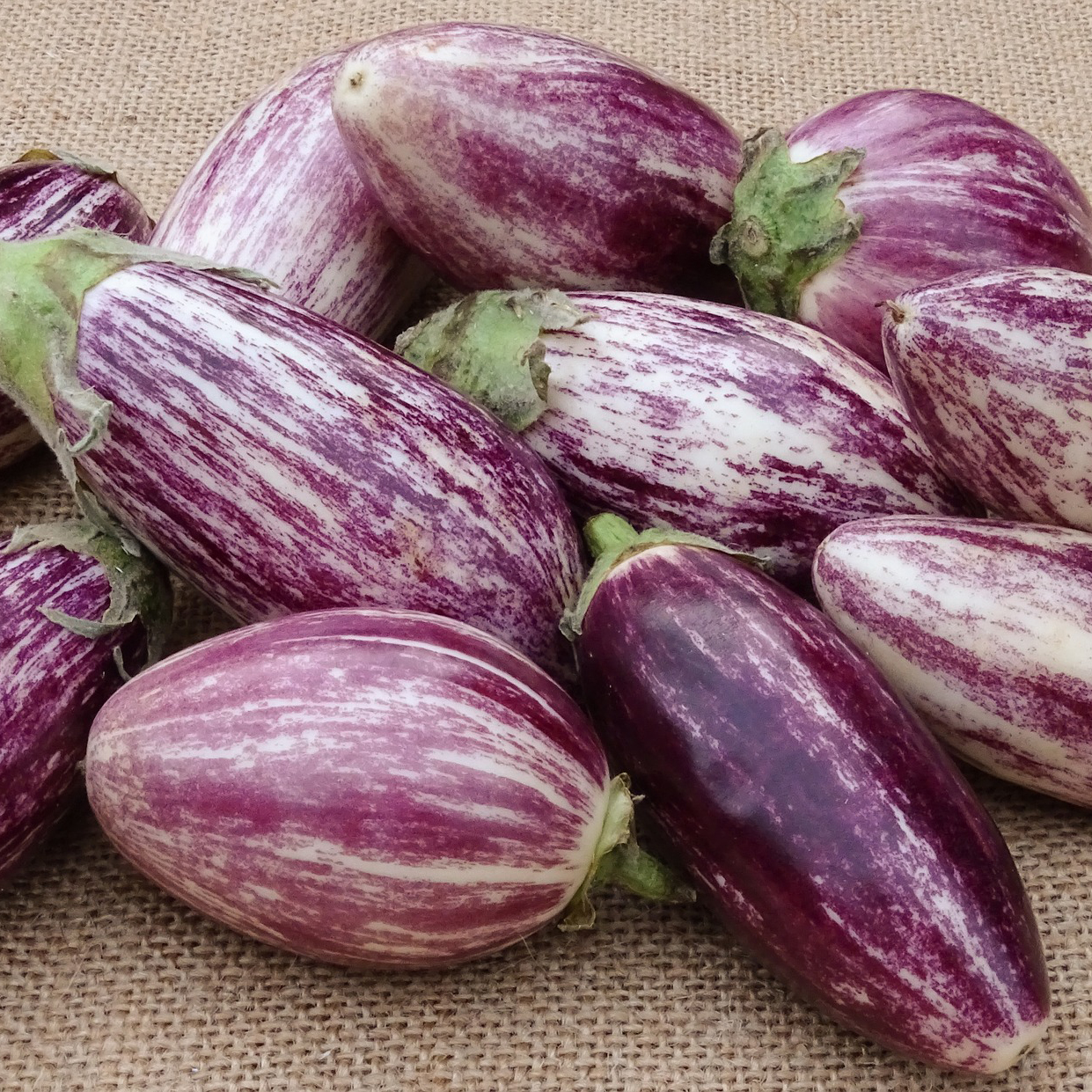Berenjena