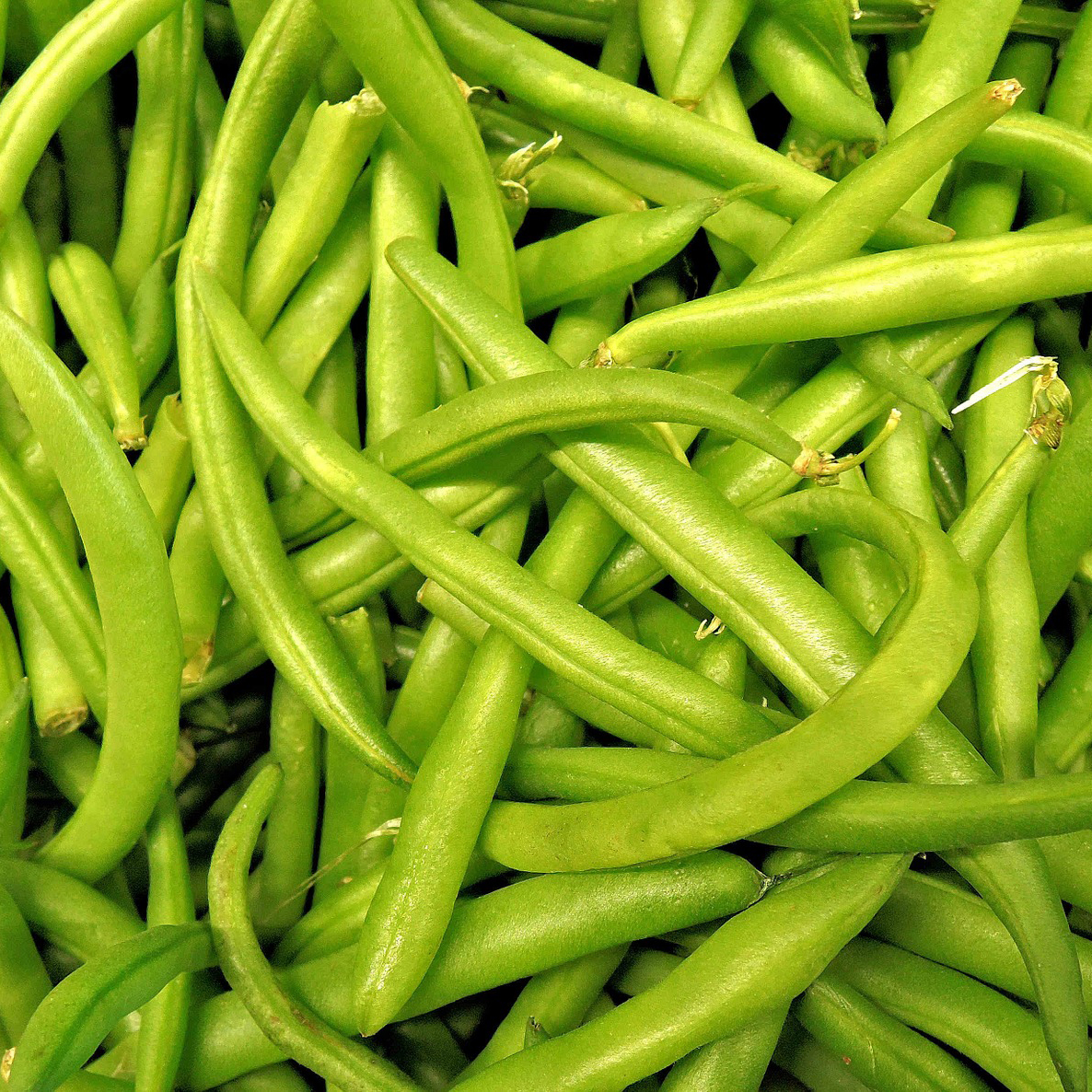 Green Beans