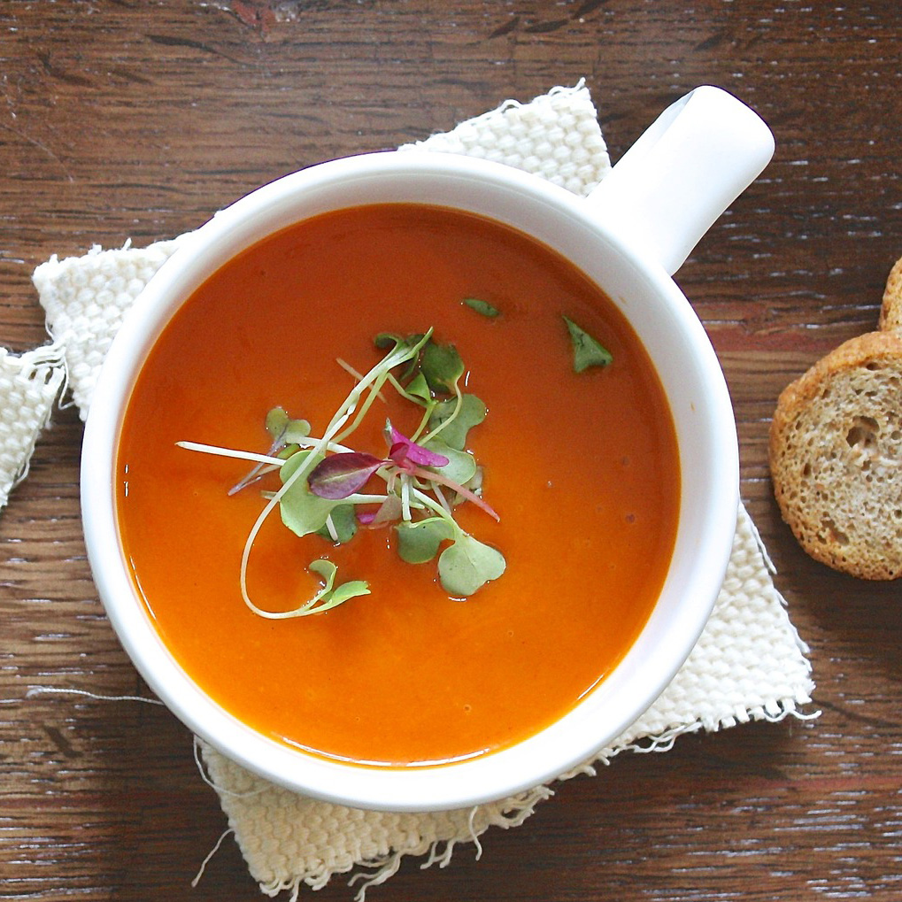 Sopa
