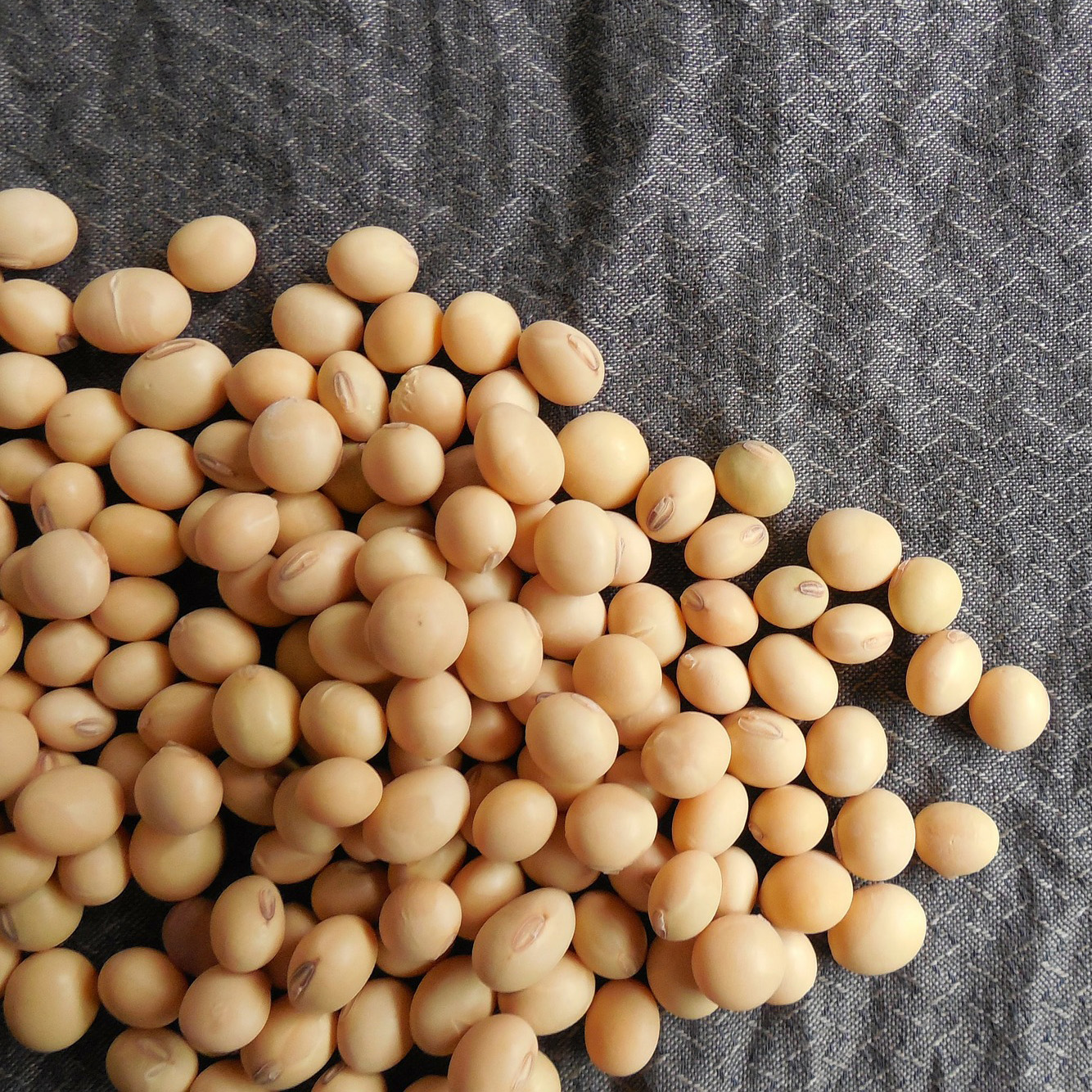 Soybeans