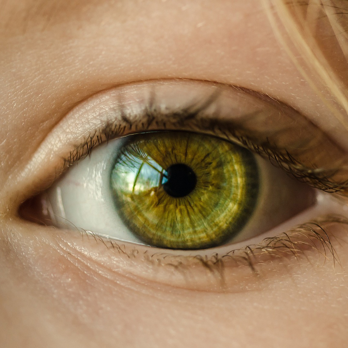 Eye Health