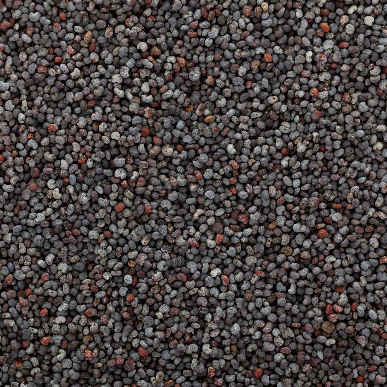 Poppy Seeds