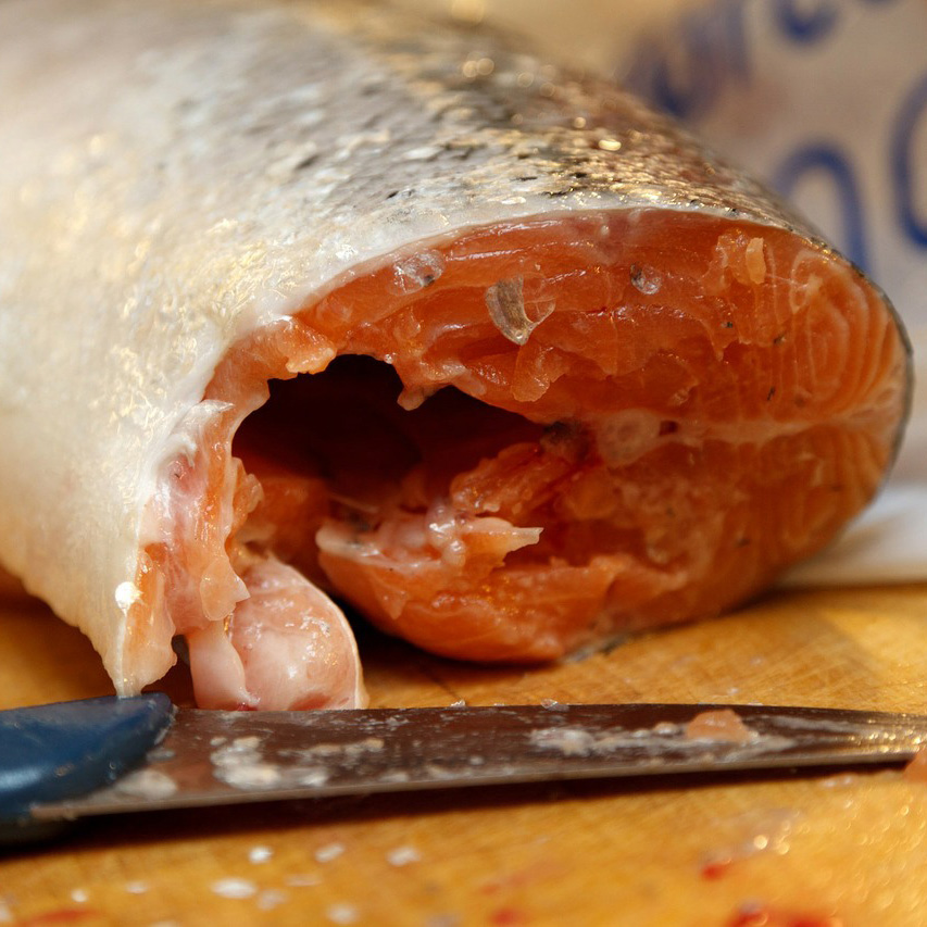 Salmón