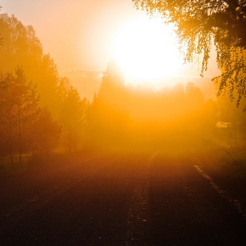 Sunlight
