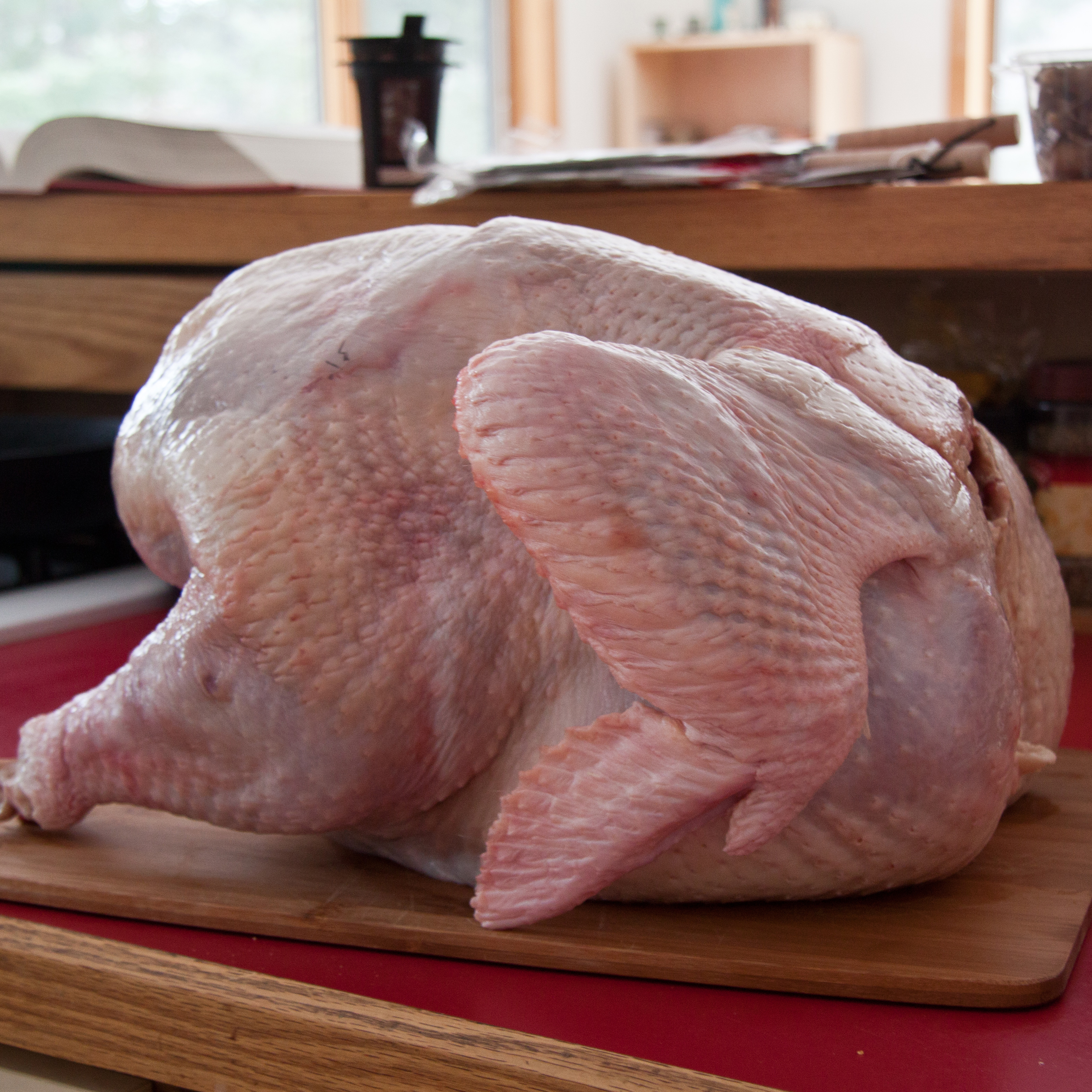 Turkey