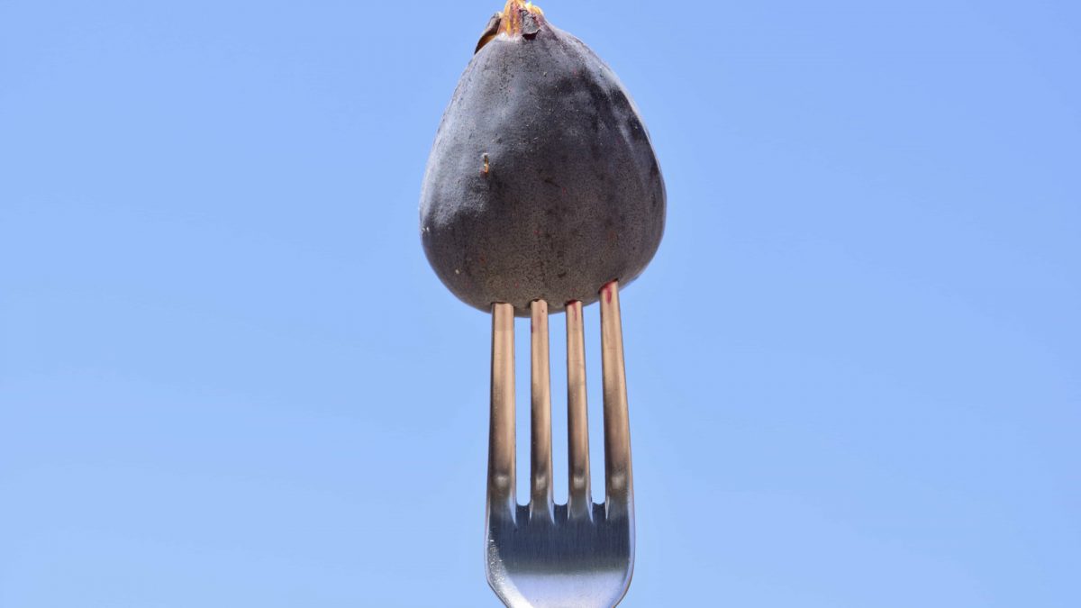 The Orthorexia Nervosa Test