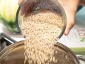 Which Is a Better Breakfast, Cereal or Oatmeal?