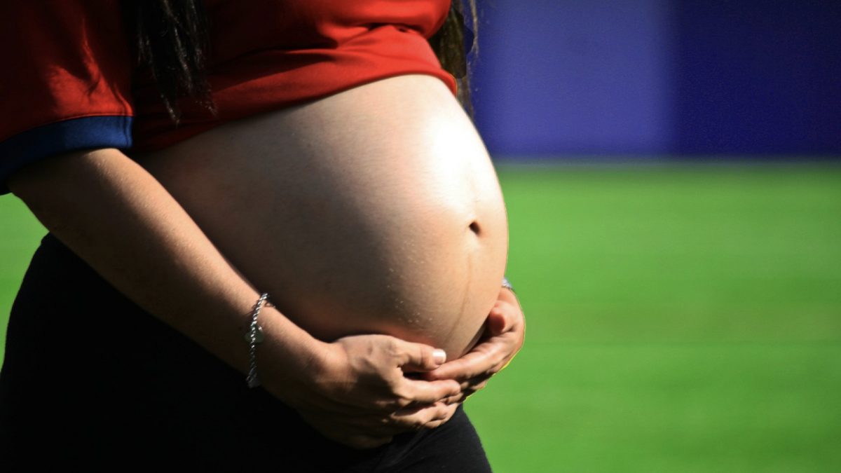 Animal Protein, Pregnancy, and Childhood Obesity