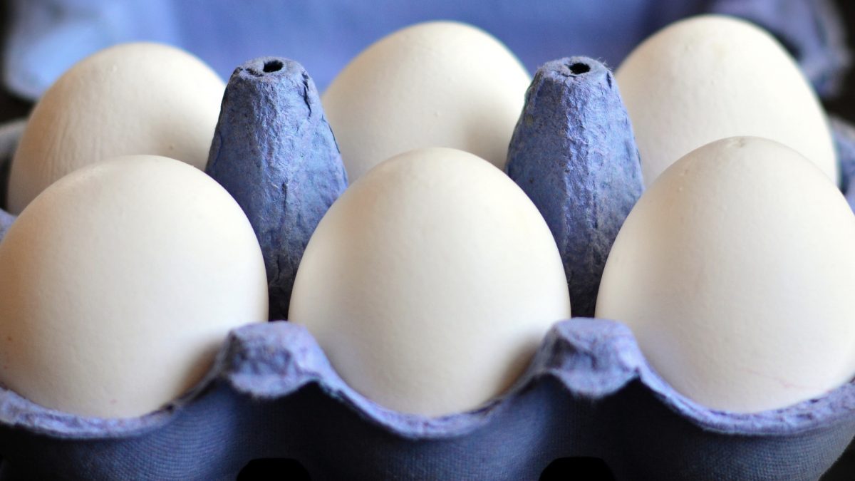 Eggs and cancer