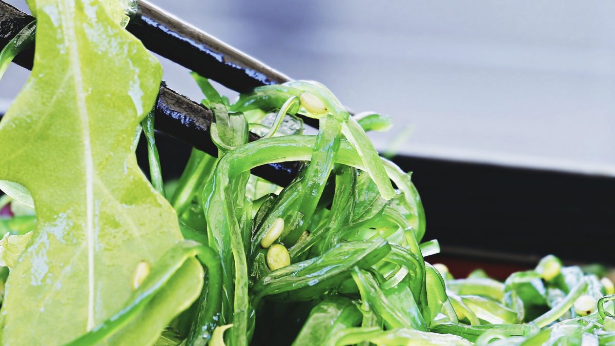 chopsticks holding wakame salad