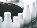 Los efectos de las hormonas de la leche en el cáncer