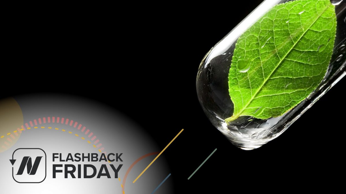 FBF - Green Smoothies- what does the science say