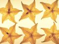 Neurotoxicity Effects of Star Fruit