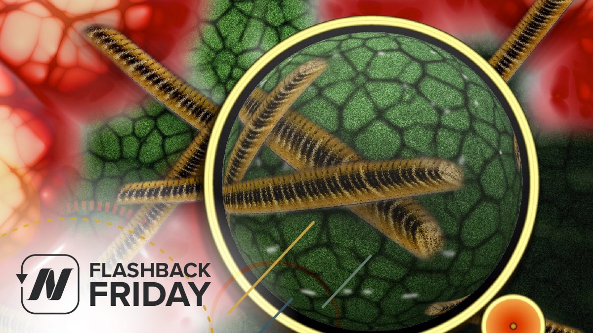 FBF - What's Your Gut Microbiome Enterotype