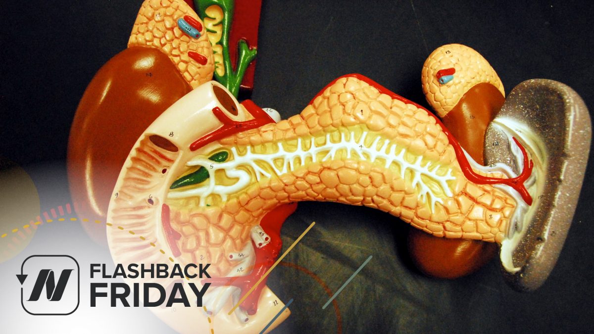 FBF - How to Reduce Carcinogenic Bile Acid Production