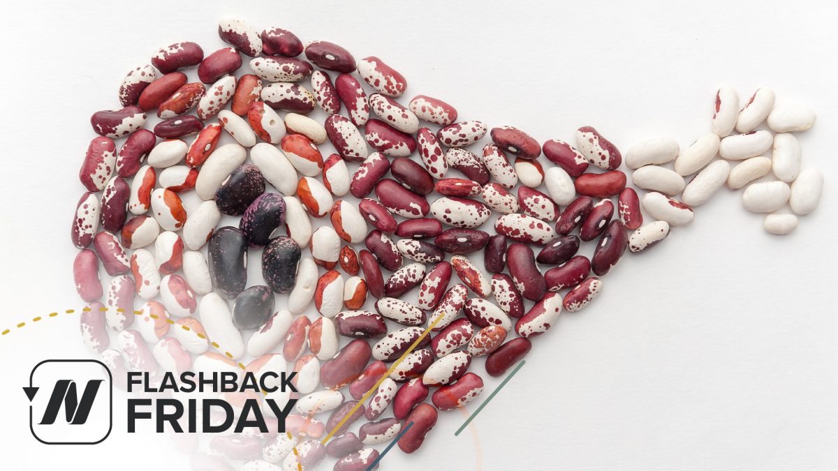 FBF - The Protein-Combining Myth