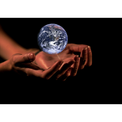 Environment