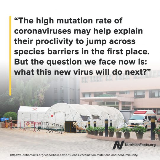 Mutation Mutation