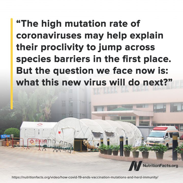Mutation Mutation