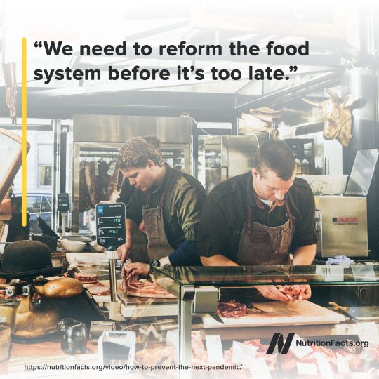 Reform Reform