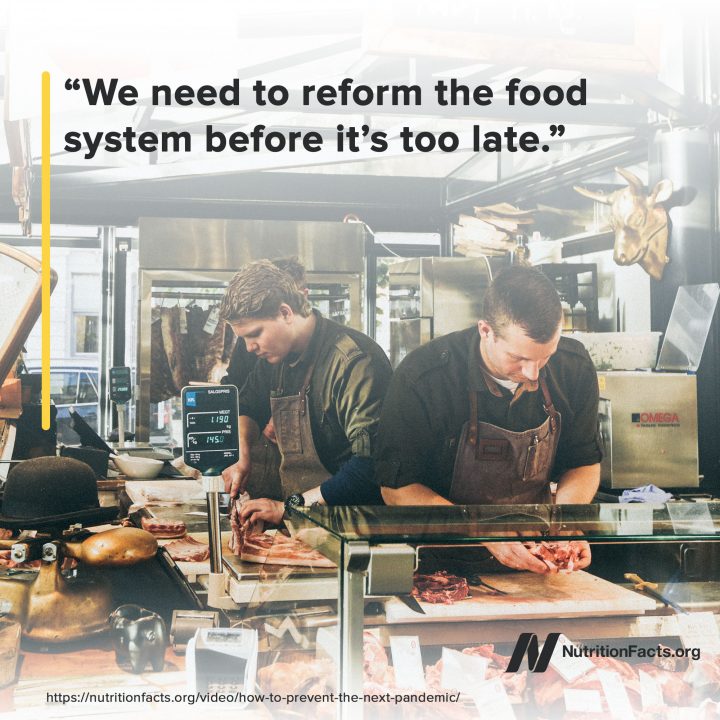 Reform Reform