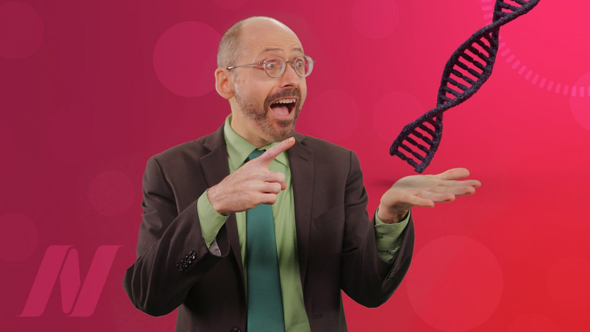 The Thrifty Gene Theory: Survival of the Fattest