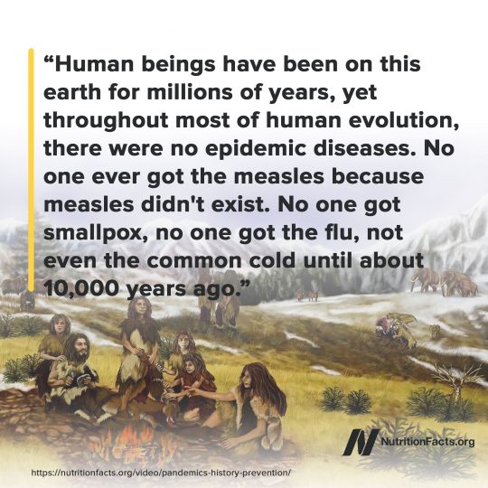 On epidemics throughout history On epidemics throughout history