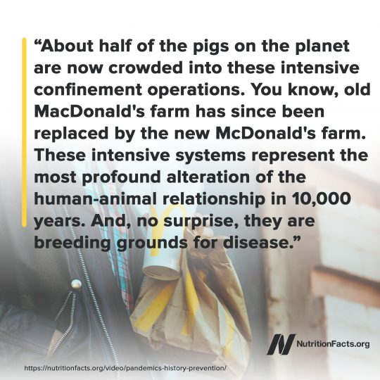 Factory Farming Factory Farming