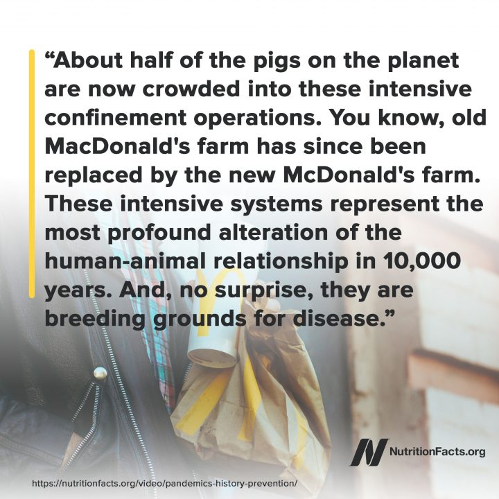 Factory Farming Factory Farming