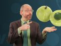 How to Lower Lp(a) with Diet