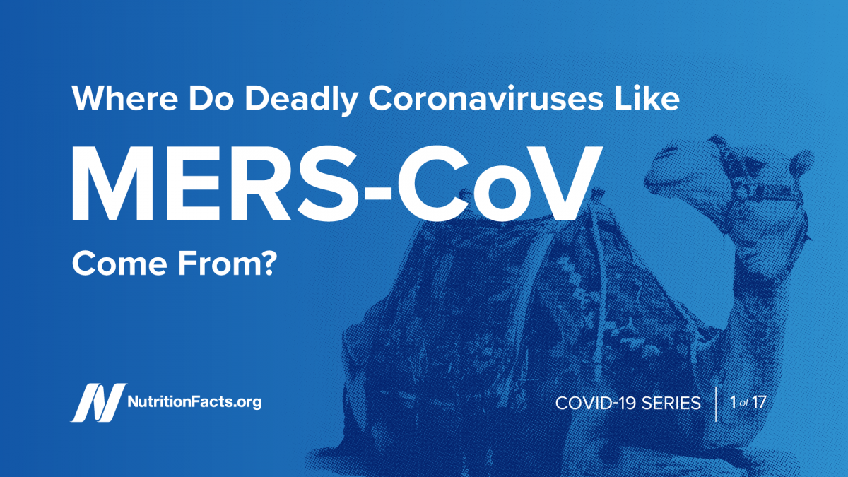 ¿De dónde vienen los coronavirus letales como el MERS-CoV?