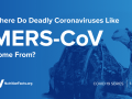 ¿De dónde vienen los coronavirus letales como el MERS-CoV?