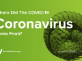 Where Did the COVID-19 Coronavirus Come From?