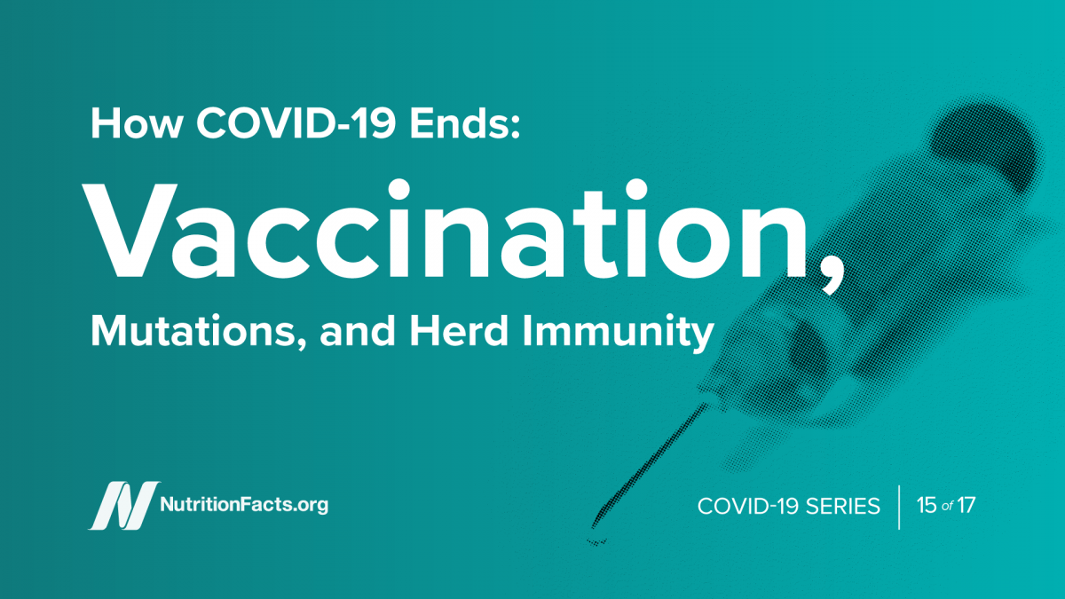 How COVID-19 Ends- Vaccination, Mutations, and Herd Immunity