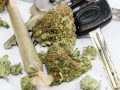 The Effects of Marijuana on Car Accidents