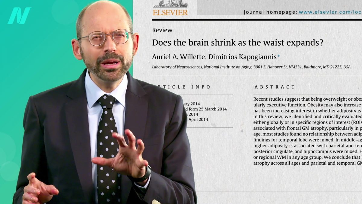 The Effects of Obesity on Dementia, Brain Function, and Fertility