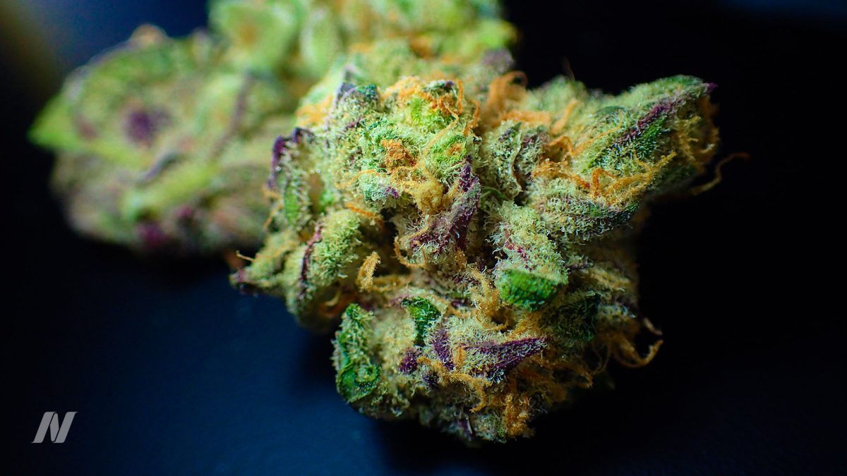 52-03-Does-Marijuana-Cause-Strokes-and-Heart-Attacks