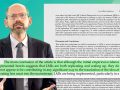 The Human Health Effects of Cultivated Meat: Food Safety