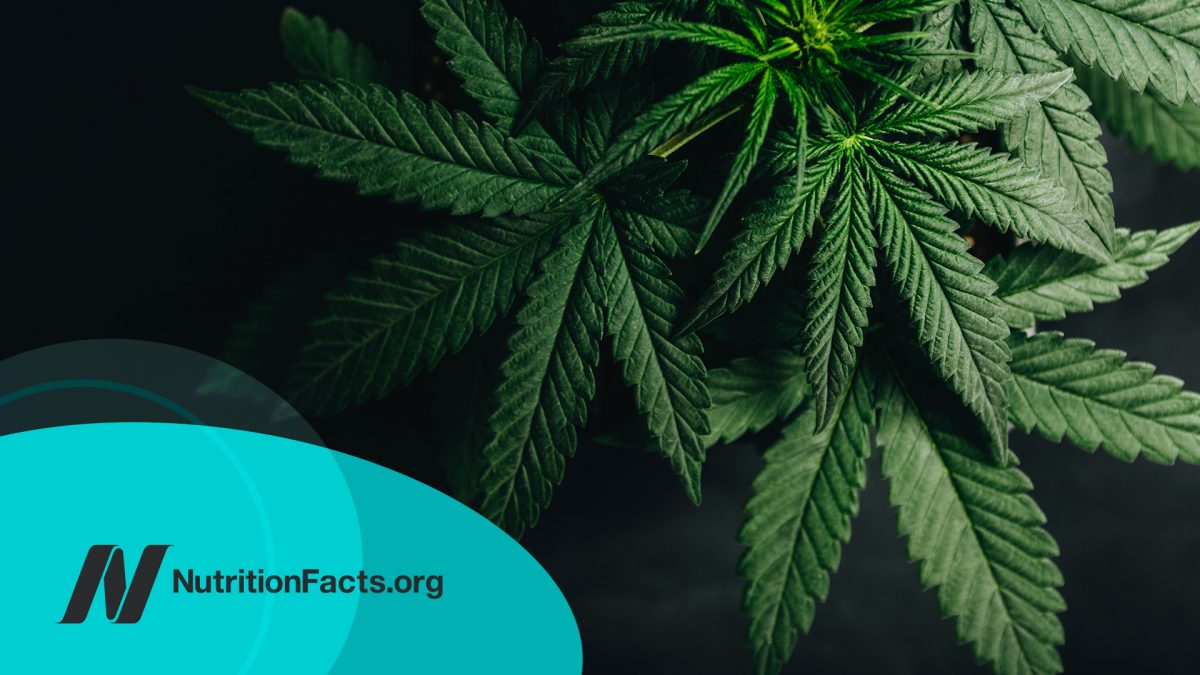 Cannabis for IBD (Inflammatory Bowel Disease)