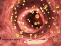 3d illustration of particles flowing through an artery